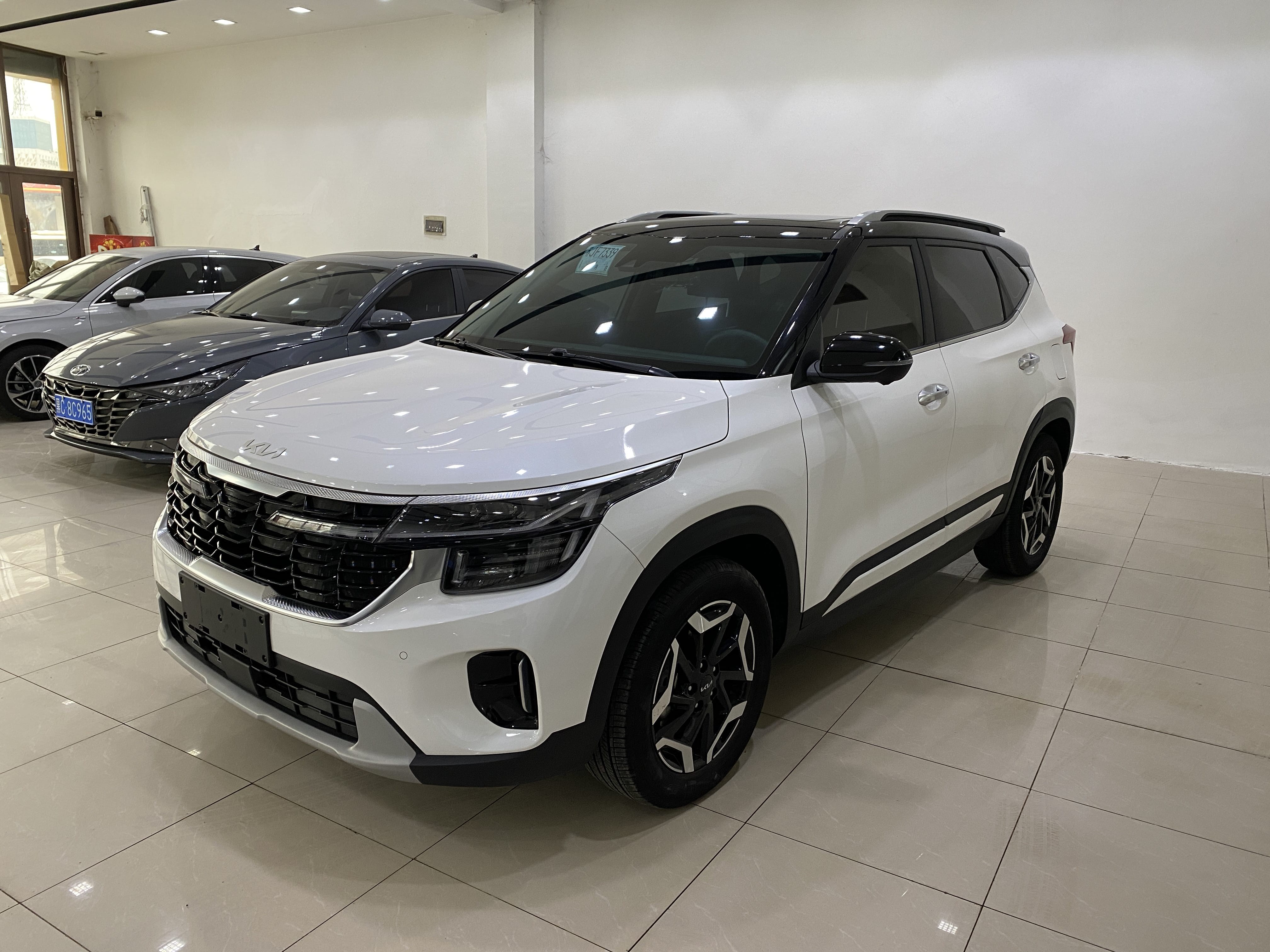 Kia Seltos 2023 car image 
