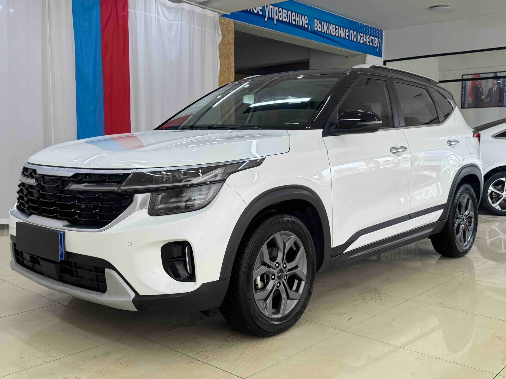 Kia Seltos 2023 car image 