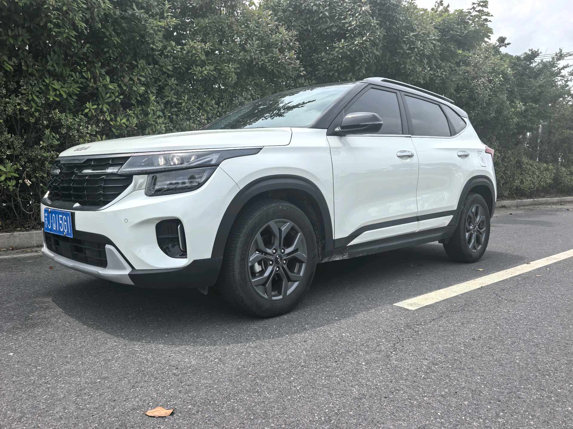 Kia Seltos 2023 Kia Seltos 2023 car image