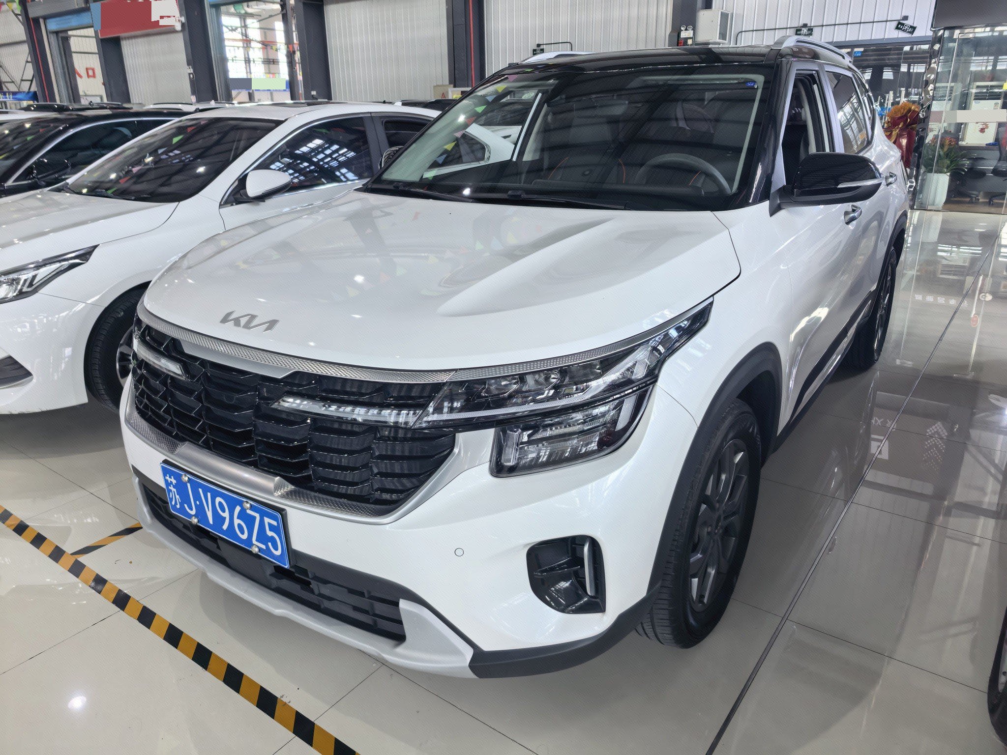 Kia Seltos 2024 car image 