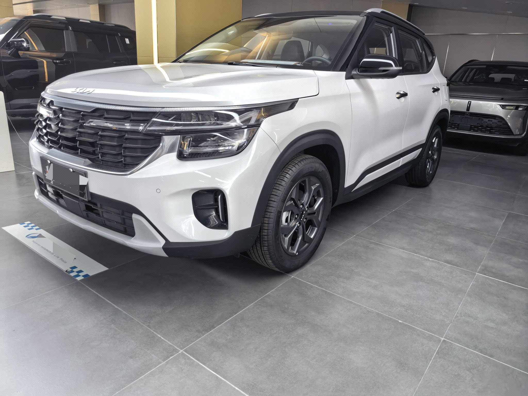 Kia Seltos 2024 car image 