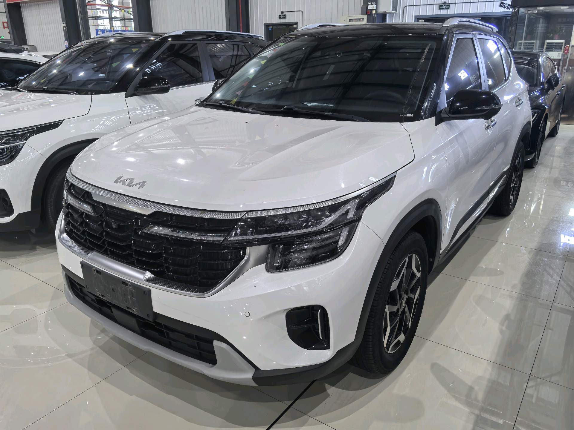 Kia Seltos 2023 Kia Seltos 2023 car image