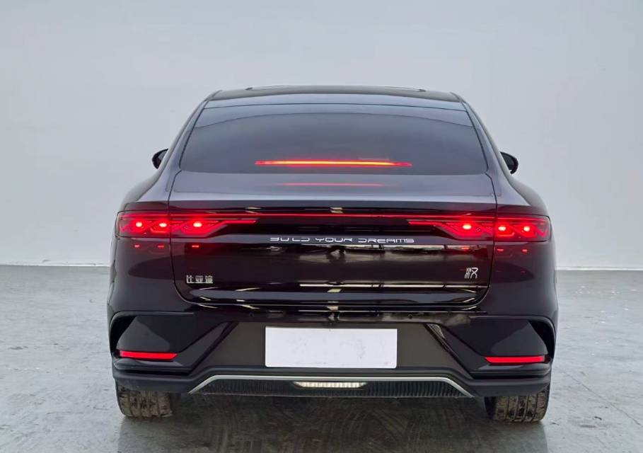 BYD Han 2024 car image #9