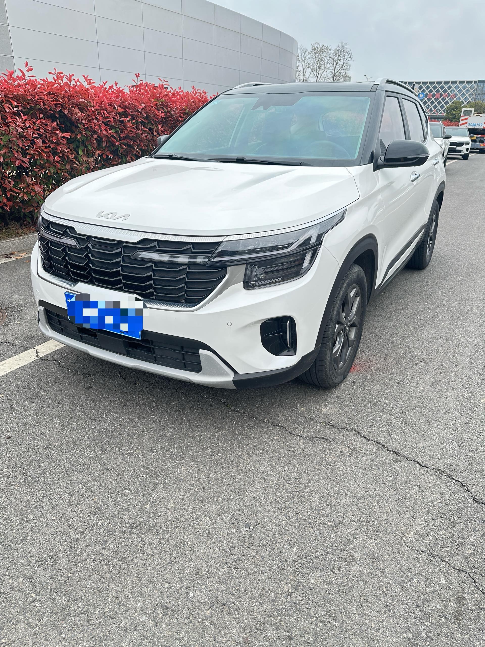 Kia Seltos 2023 Kia Seltos 2023 car image