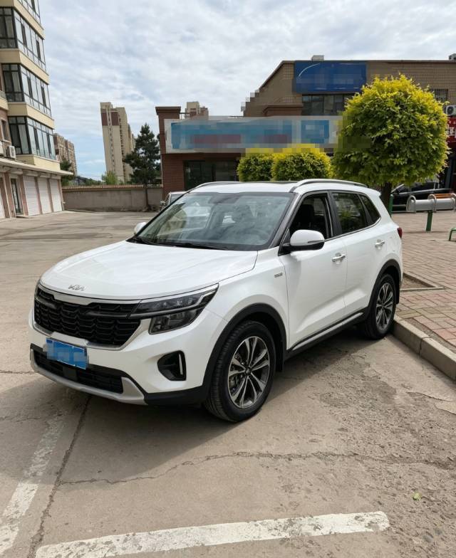 Kia Seltos 2025 car image 