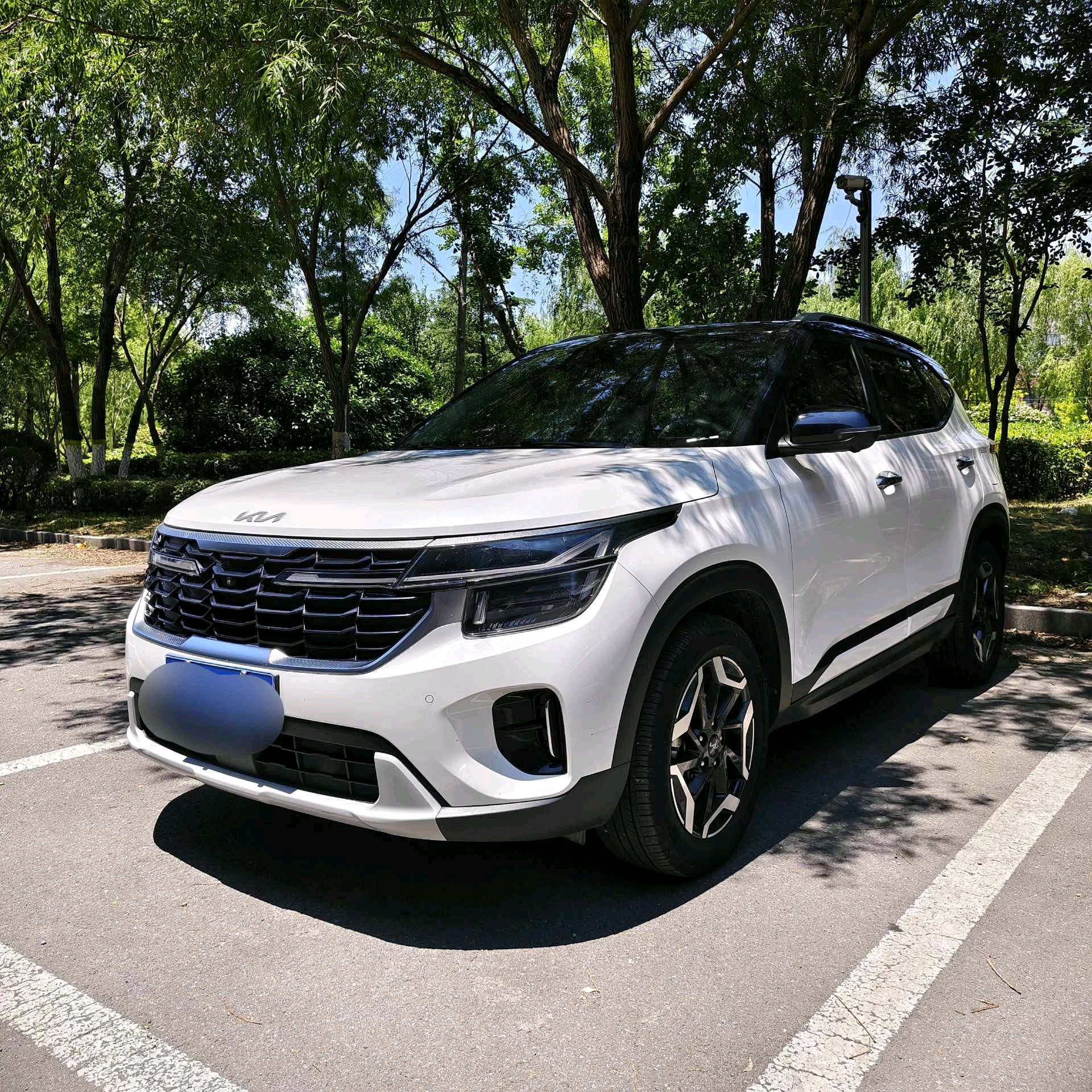 Kia Seltos 2023 Kia Seltos 2023 car image
