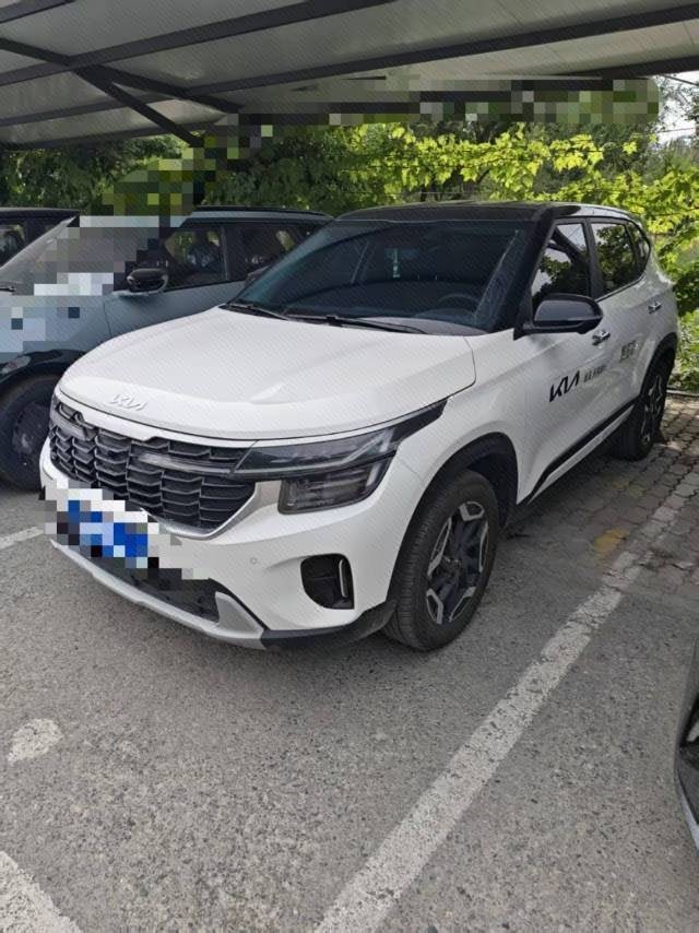 Kia Seltos 2025 car image 