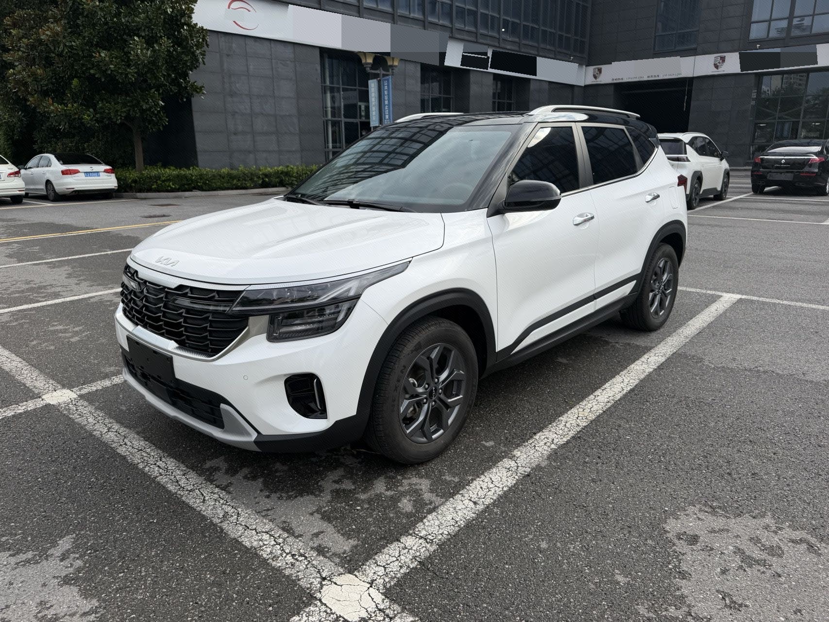 Kia Seltos 2023 car image 