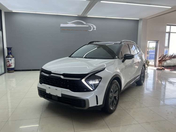 Kia Sportage 2023 car image 