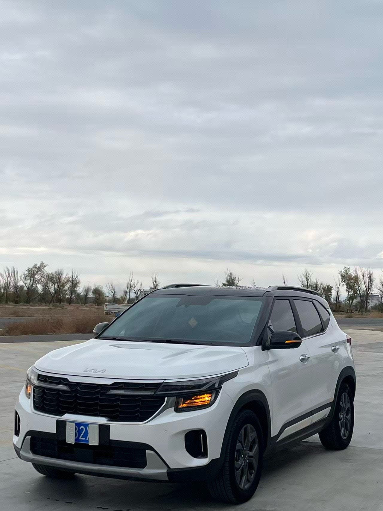 Kia Seltos 2023 Kia Seltos 2023 immagine di auto