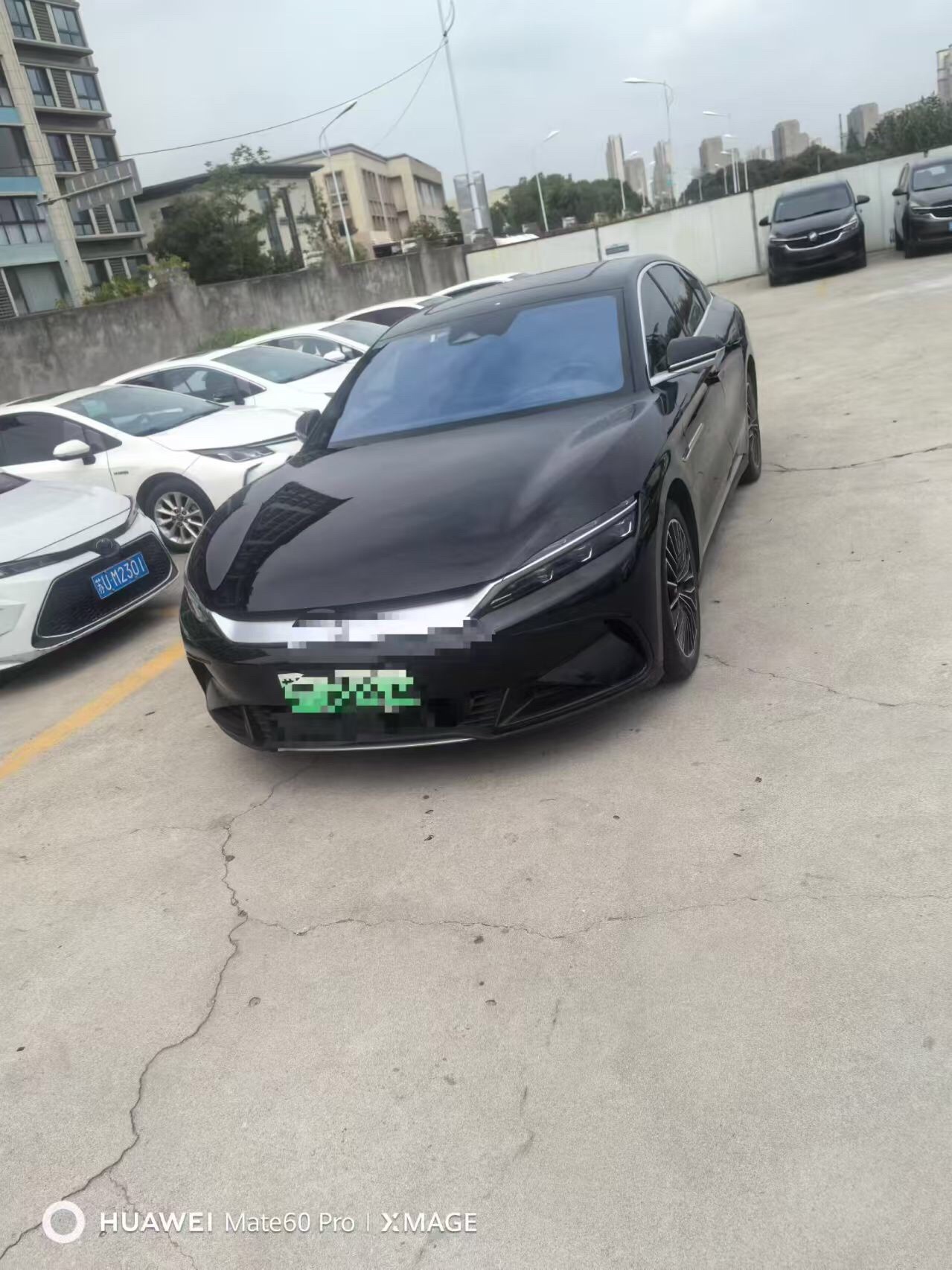 BYD Han 2024 BYD Han 2024 immagine di auto