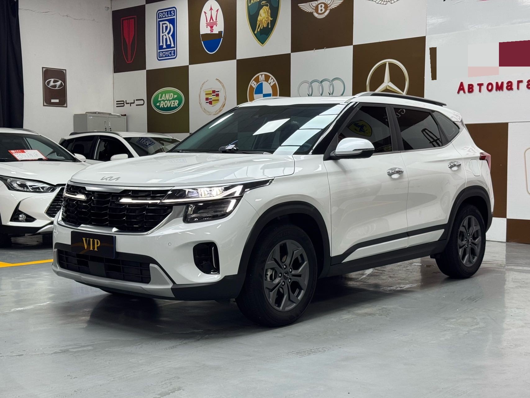 Kia Seltos 2023 car image 
