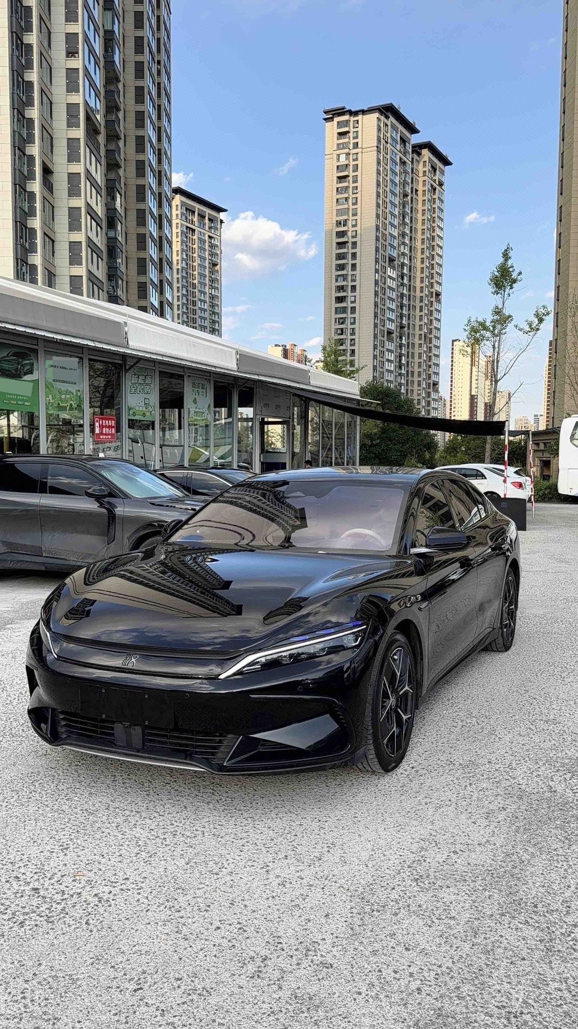BYD Han 2024 car image 