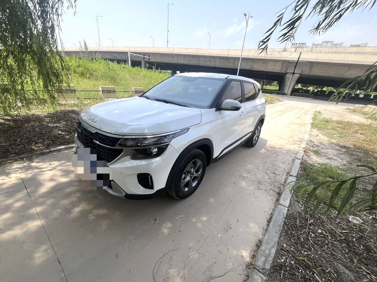Kia Seltos 2024 car image 