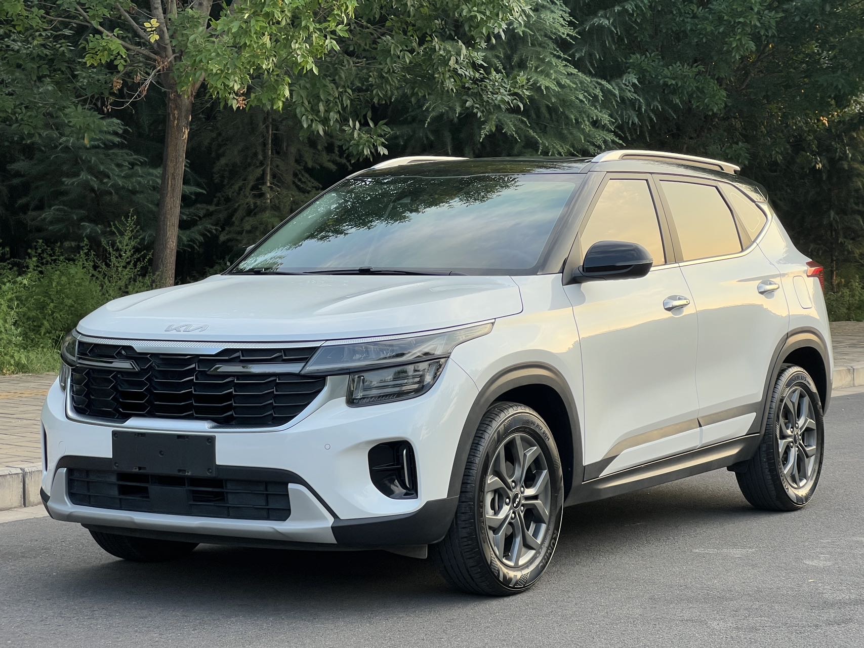 Kia Seltos 2023 car image 