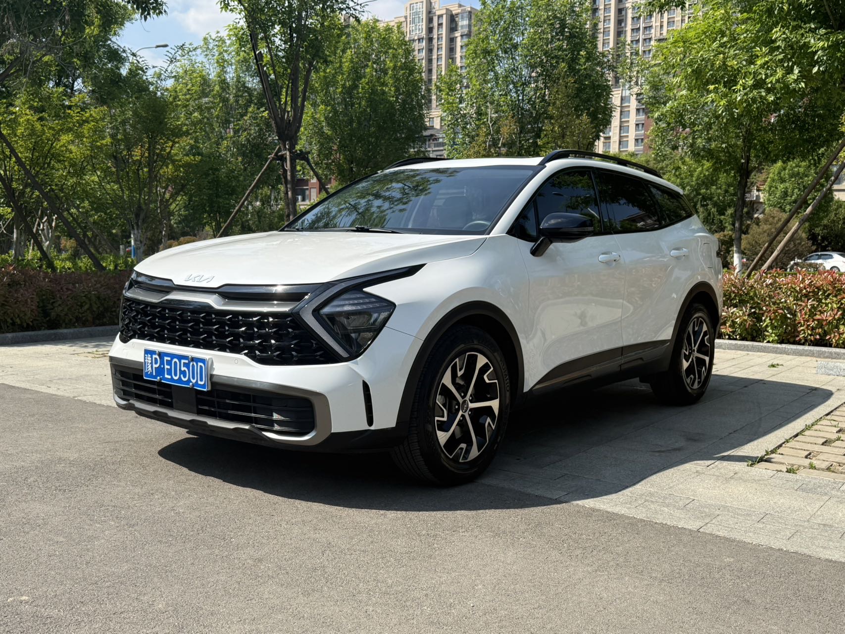Kia Sportage 2023 car image 