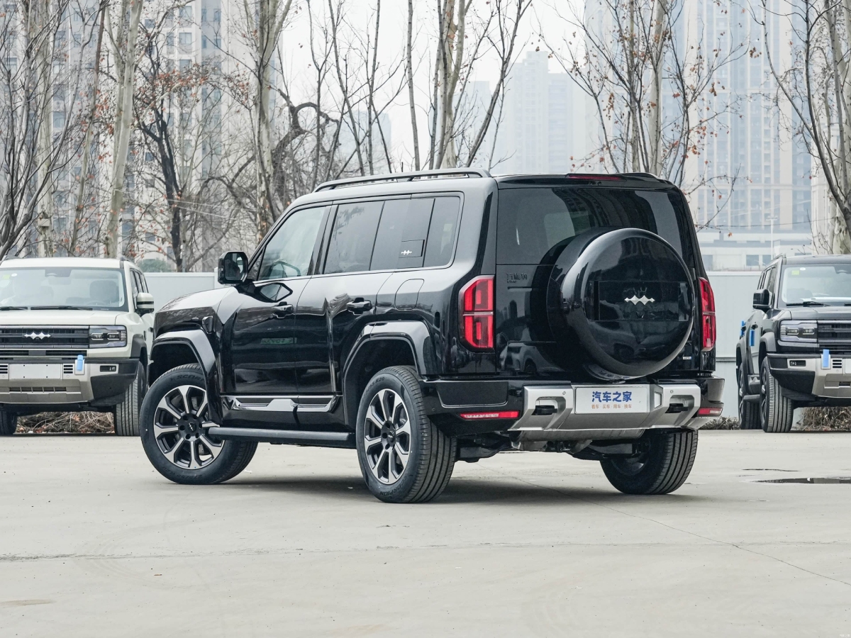 FangChengBao 2025 immagine di auto #2