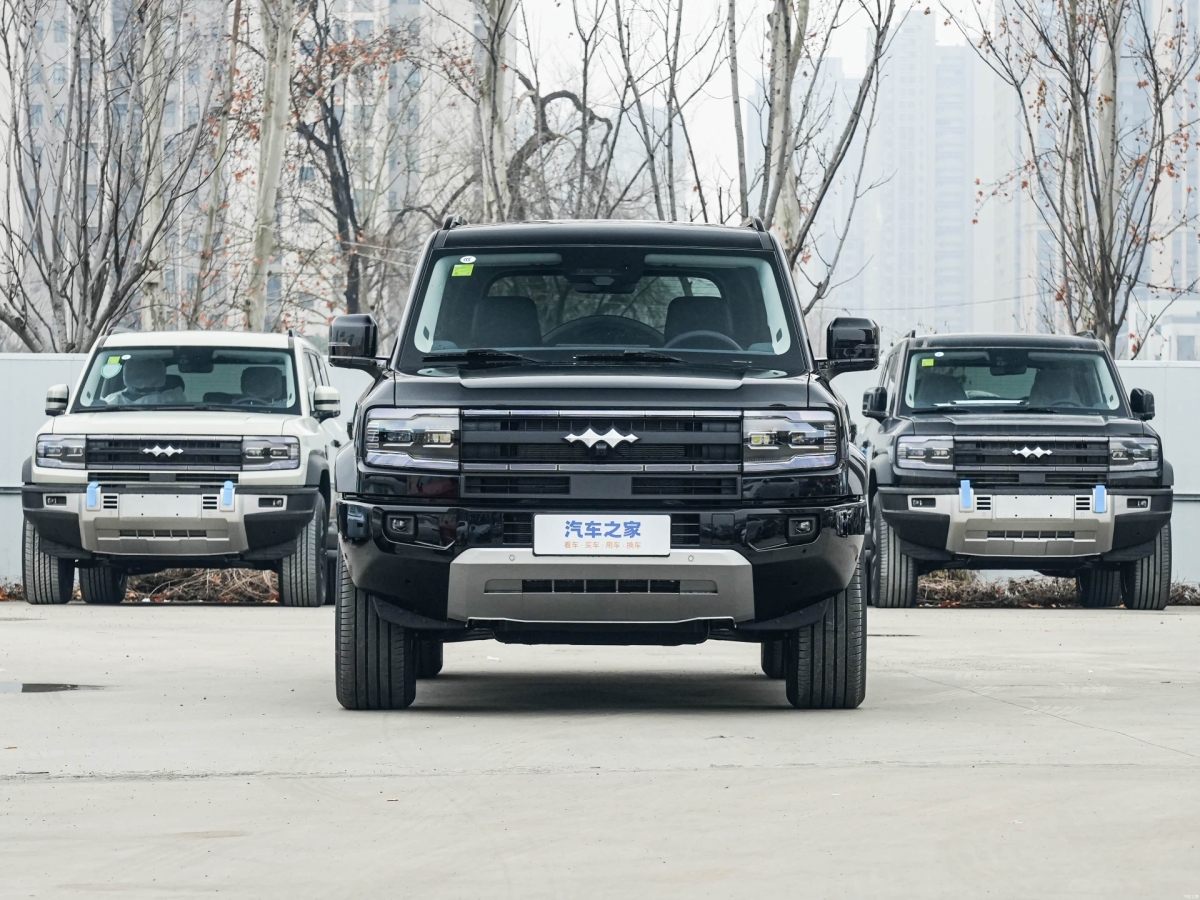 FangChengBao 2025 immagine di auto #3