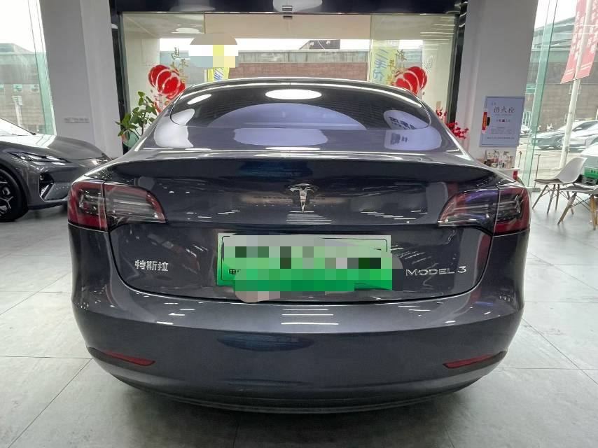 Tesla Model 3 2021 car image #11