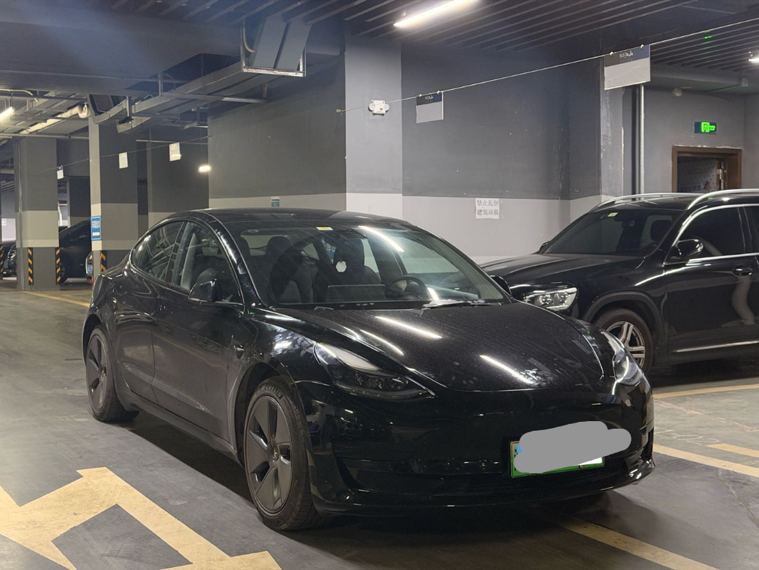 Tesla Model 3 2021 #4 Tesla Model 3 2021 immagine di auto #4