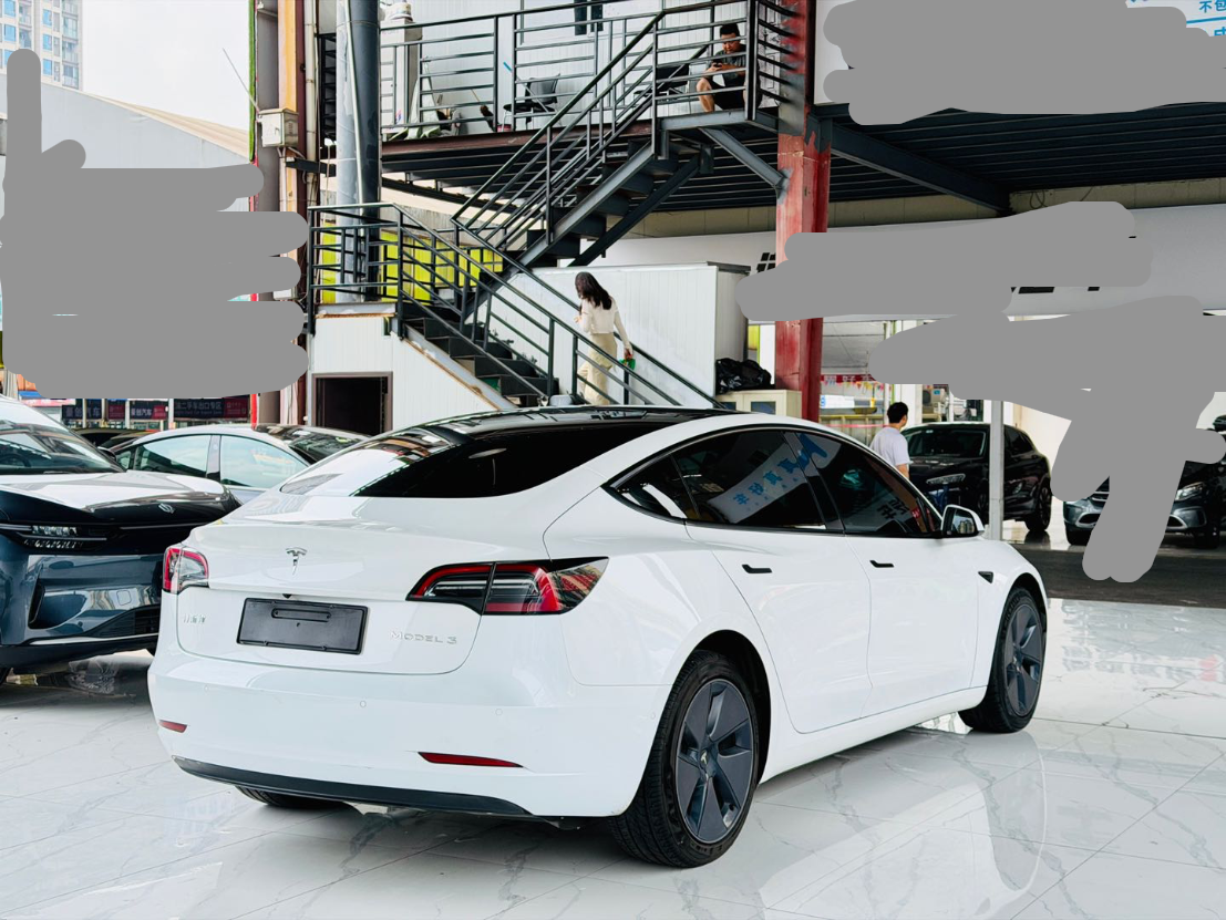 Tesla Model 3 2021 car image #6
