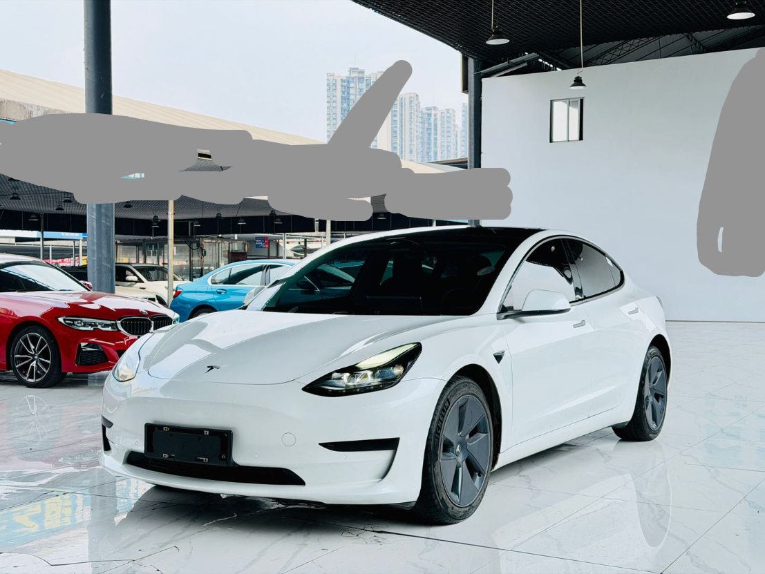 Tesla Model 3 2021 car image #2