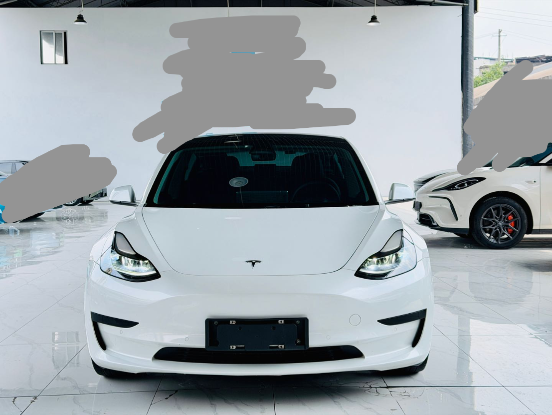 Tesla Model 3 2021 car image #4