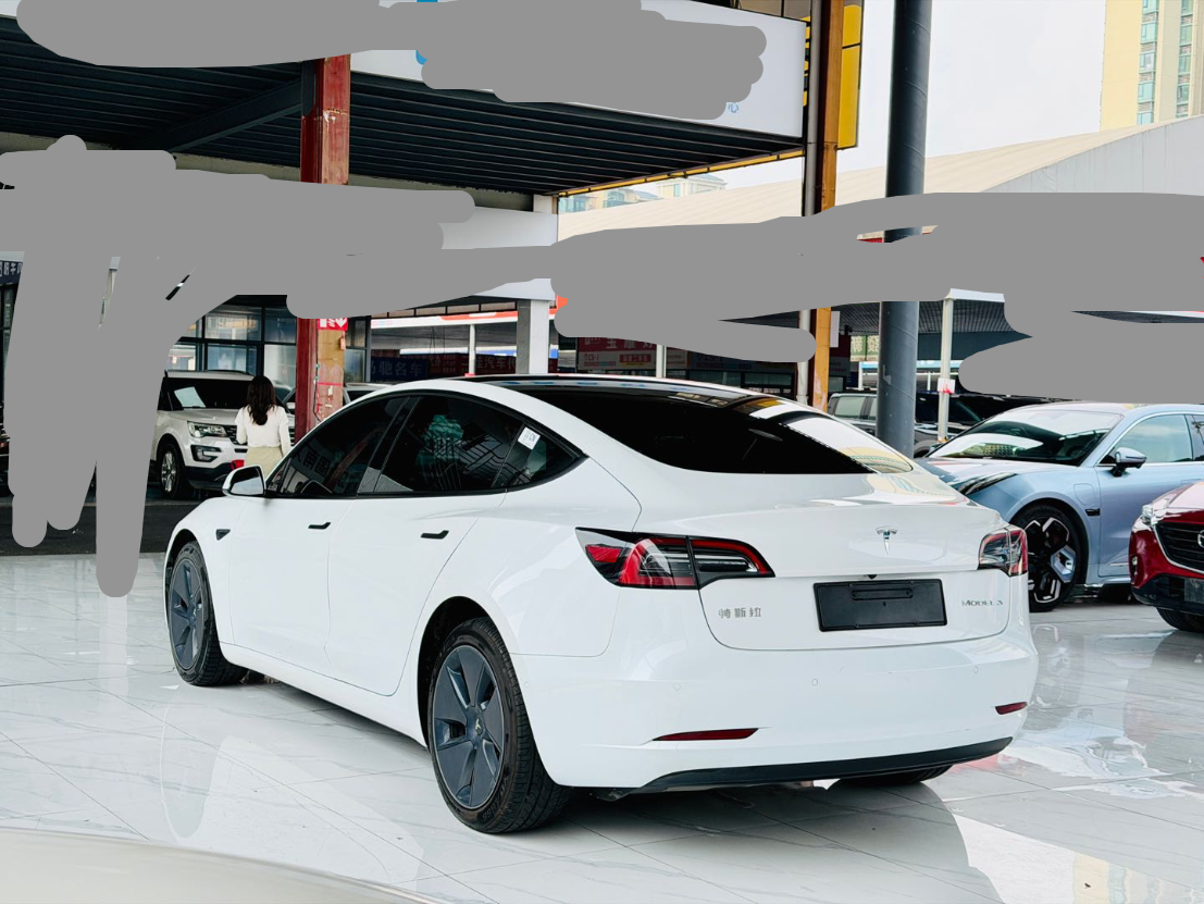 Tesla Model 3 2021 car image #5