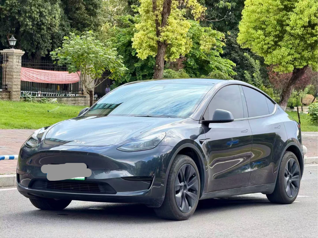 Tesla Model Y 2024 car image #2