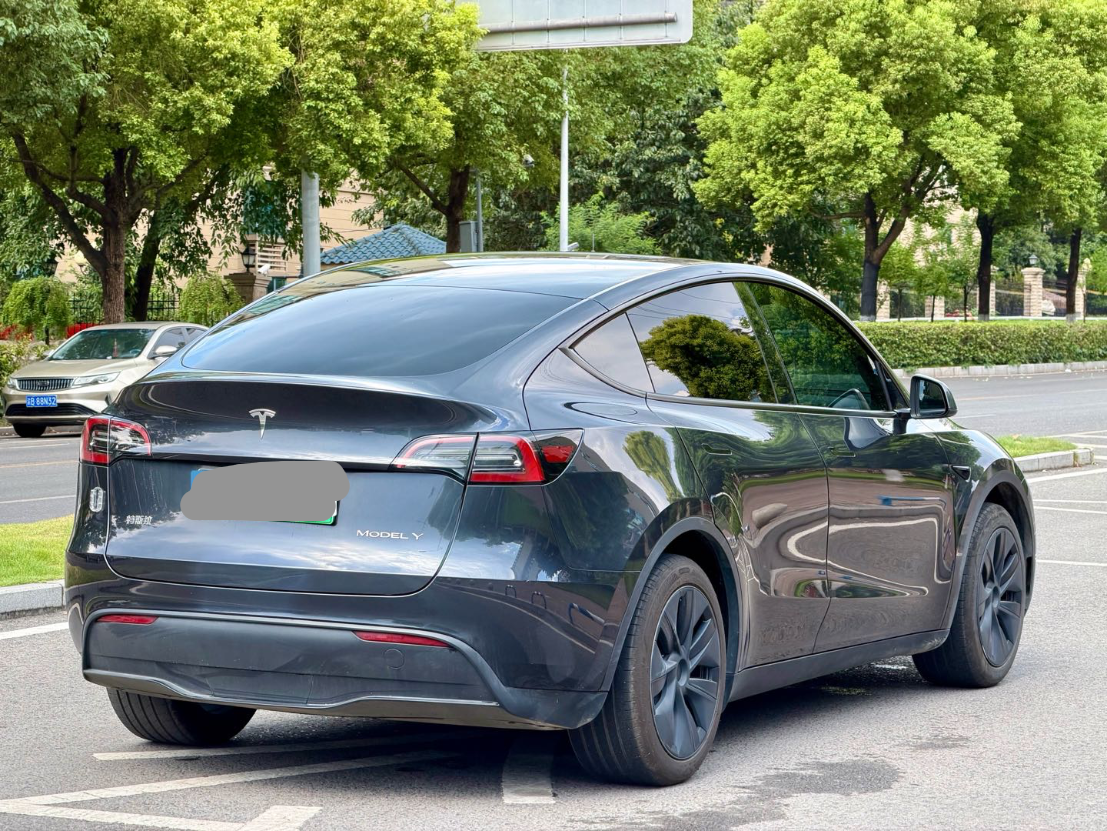 Tesla Model Y 2024 car image #8