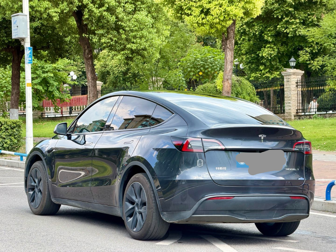 Tesla Model Y 2024 car image #6