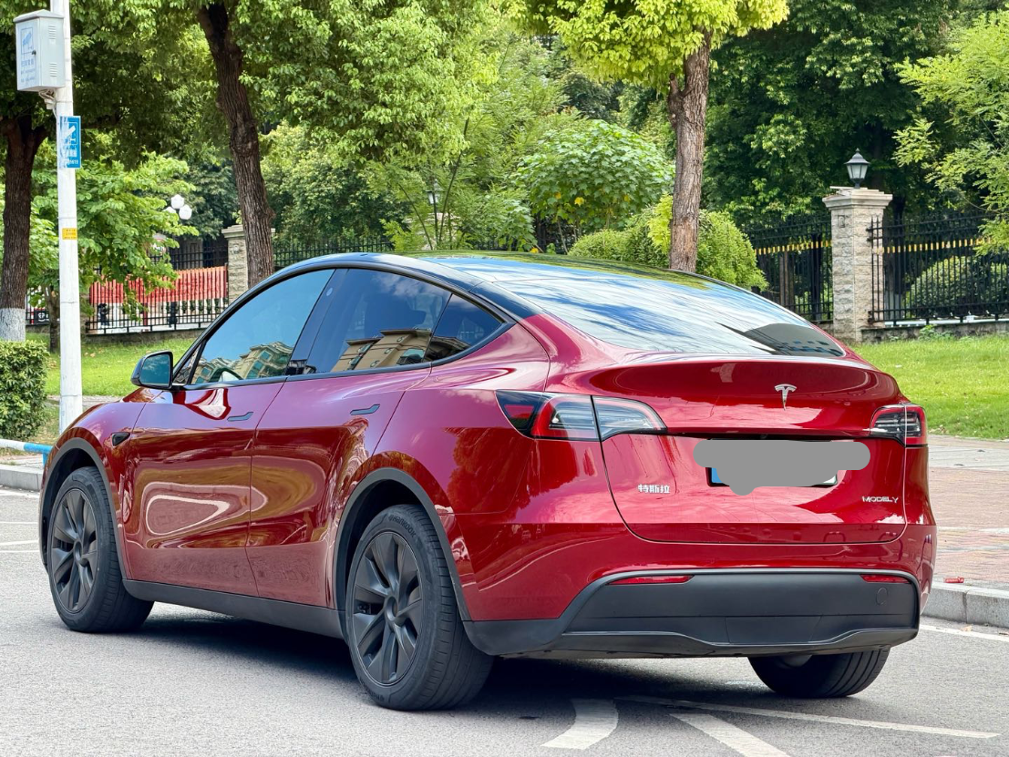 Tesla Model Y 2023 car image #6