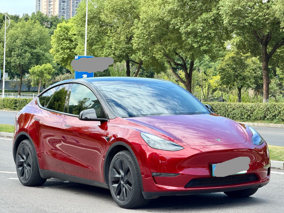Tesla Model Y 2023 car image #4