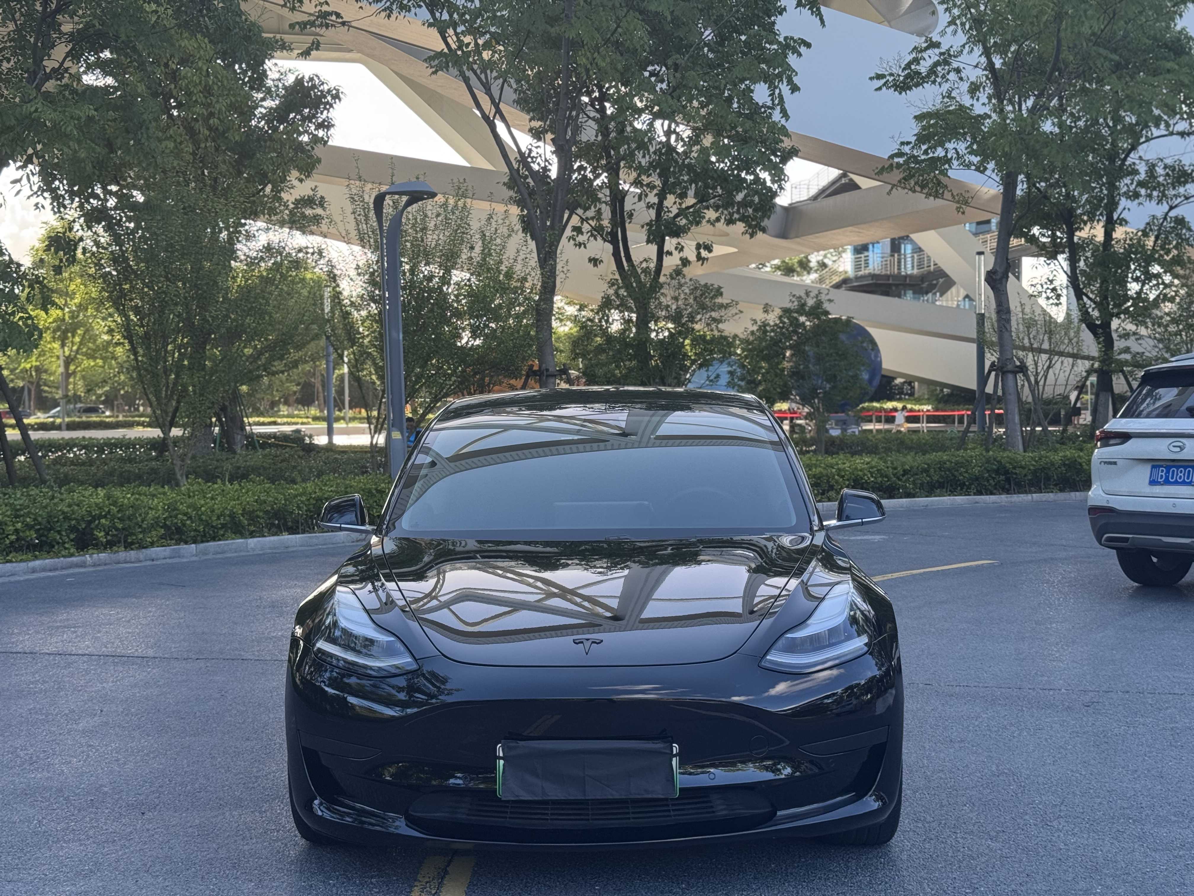 Tesla Model 3 2020 car image #4