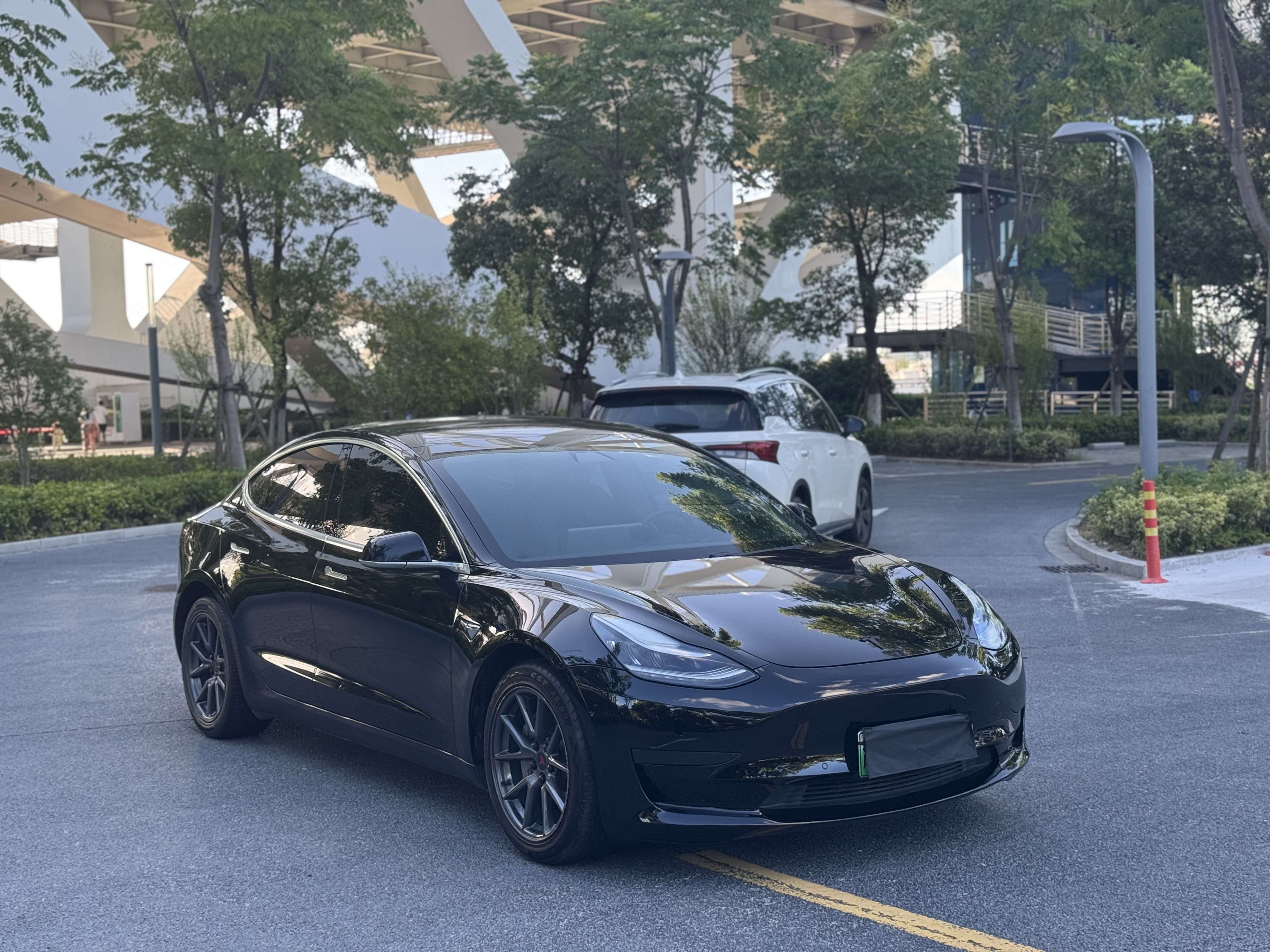 Tesla Model 3 2020 car image #5
