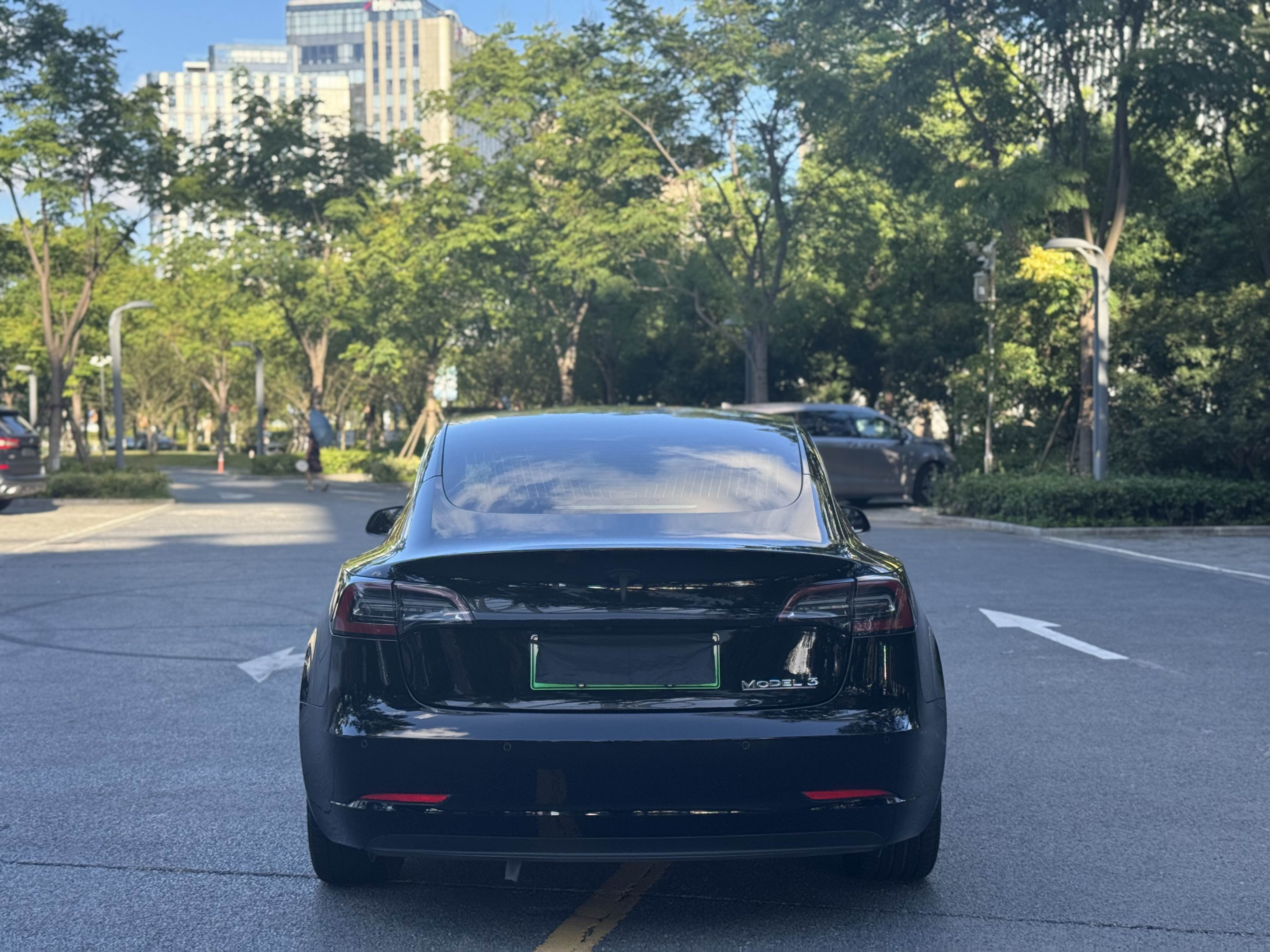 Tesla Model 3 2020 car image #10