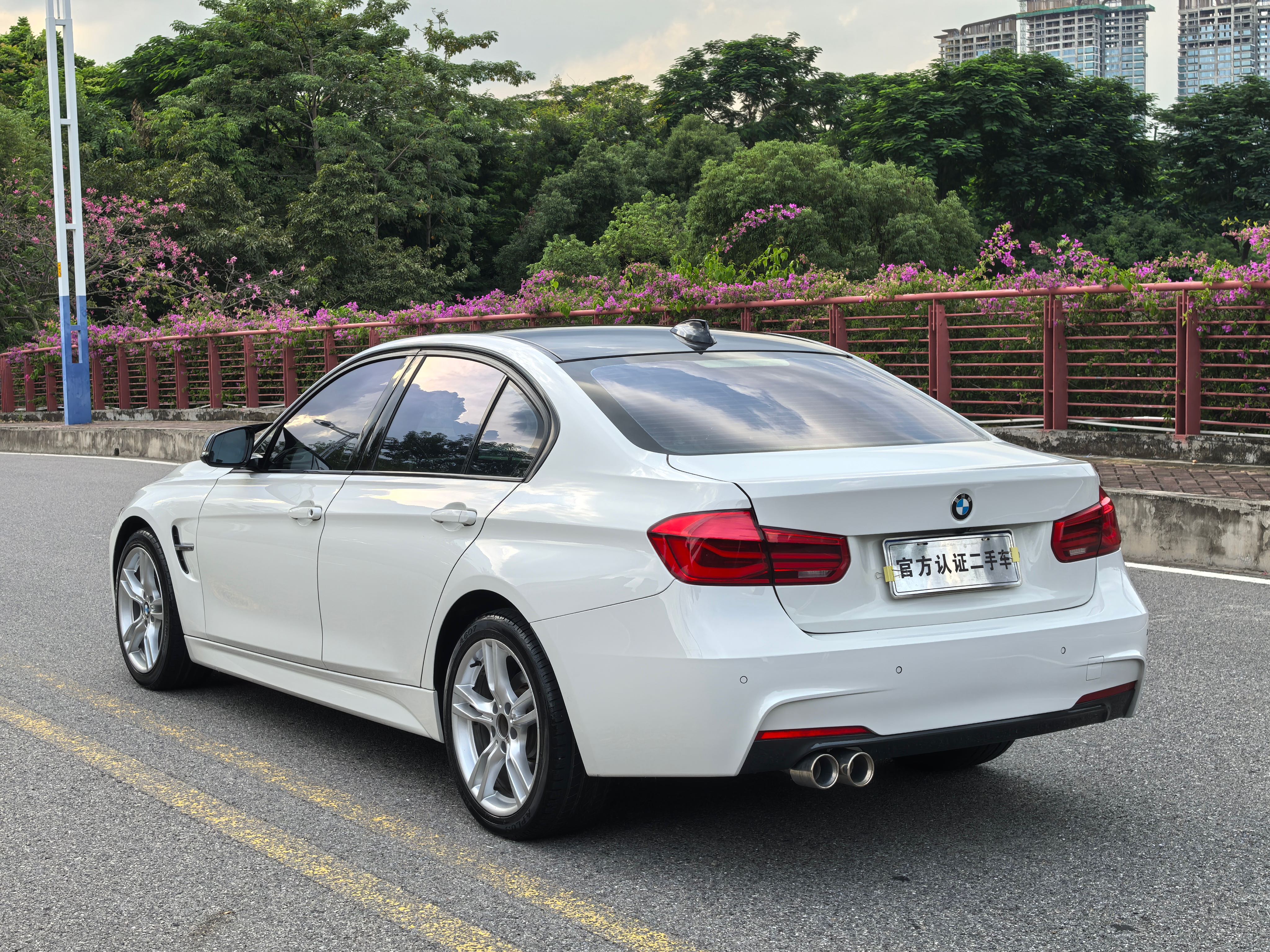 BMW 3 Series 2018 car image #10