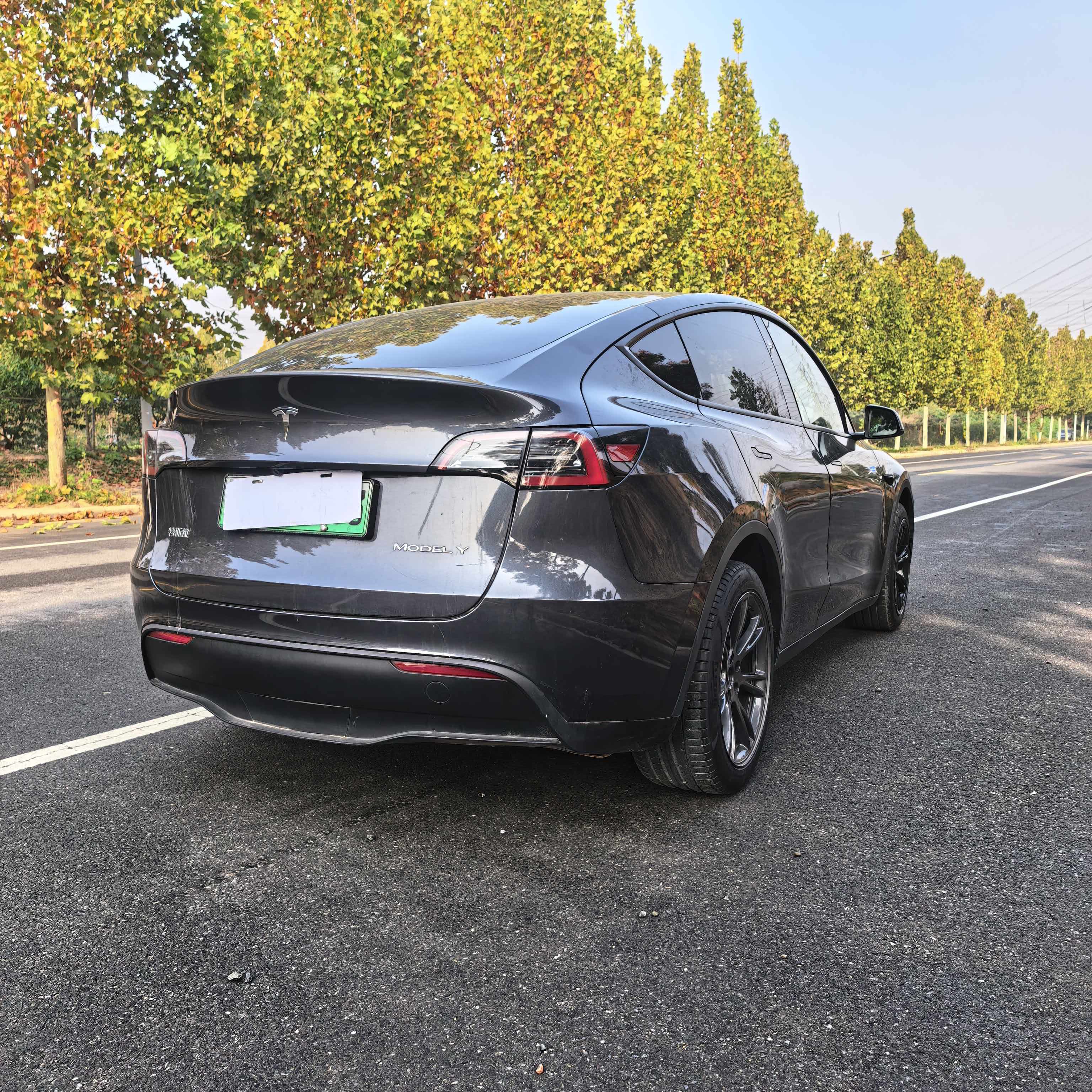 Tesla Model Y 2024 immagine di auto #7
