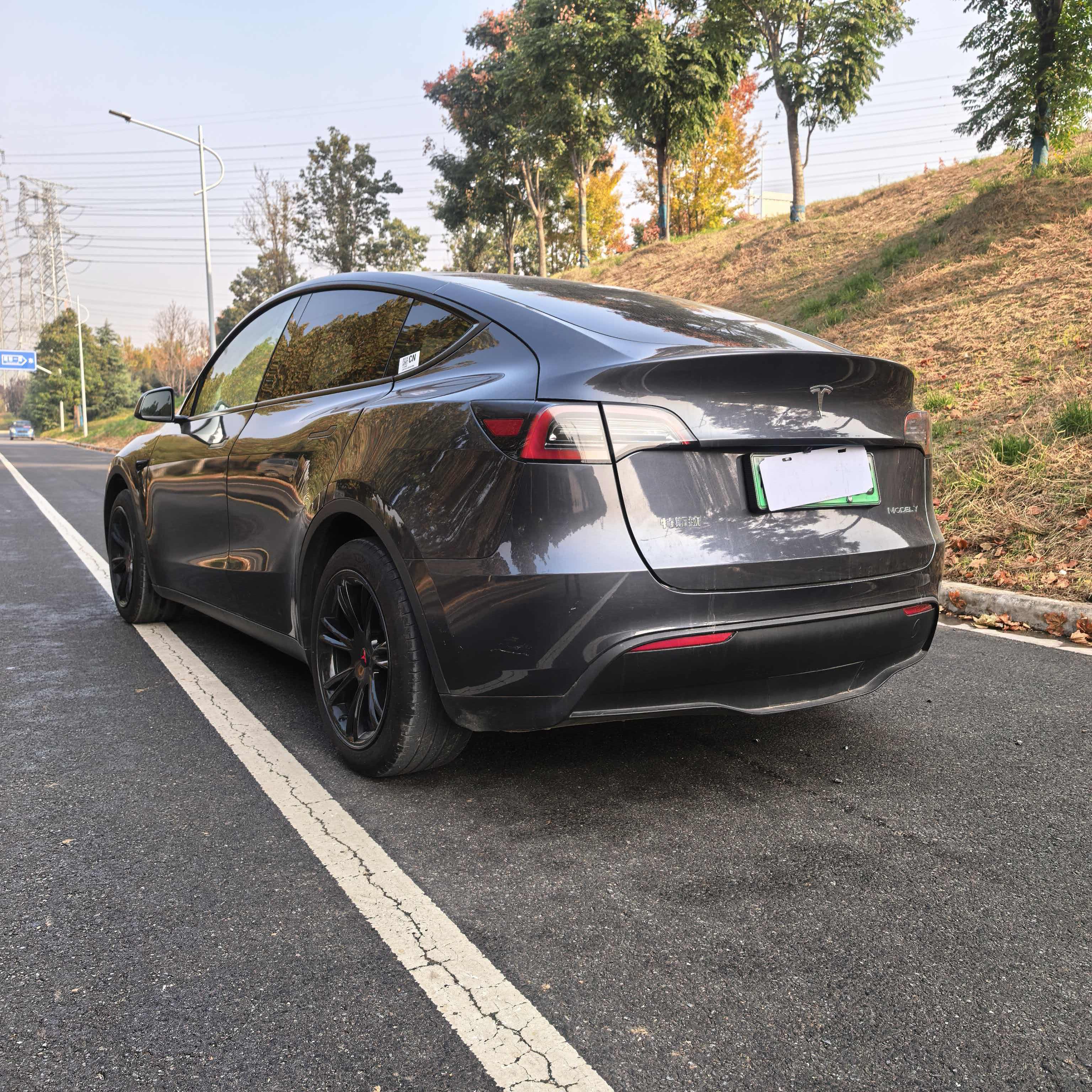 Tesla Model Y 2024 immagine di auto #5
