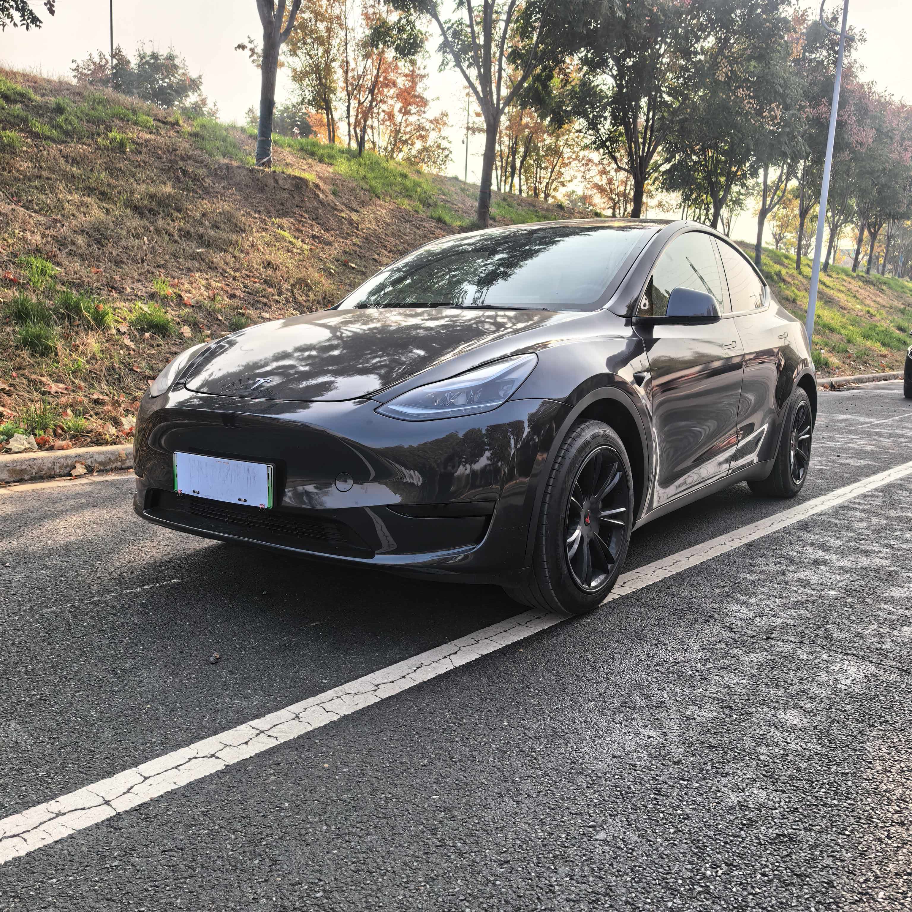 Tesla Model Y 2024 immagine di auto #2