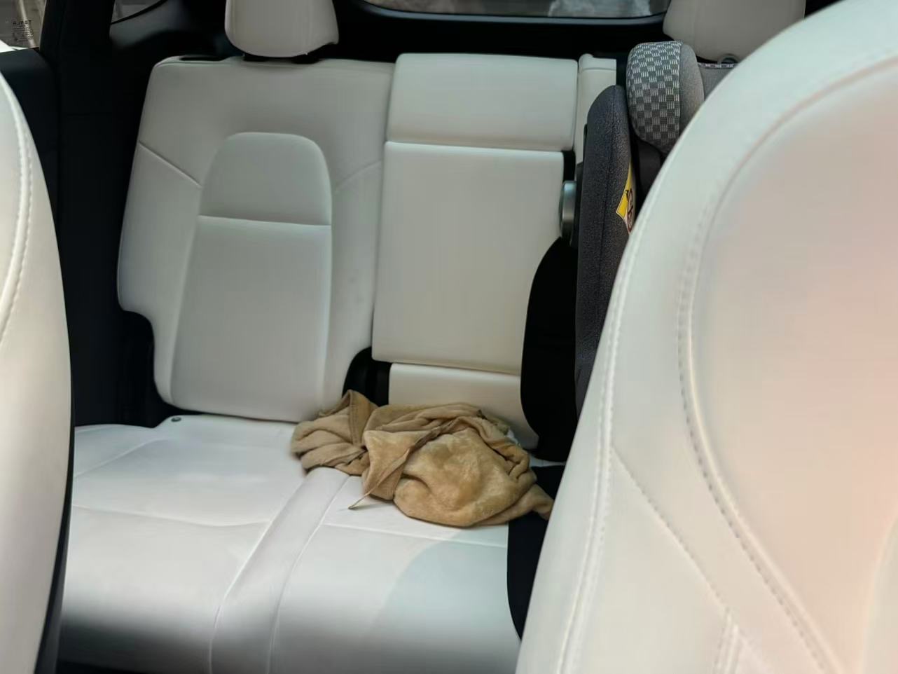 Tesla Model Y 2024 car image #10