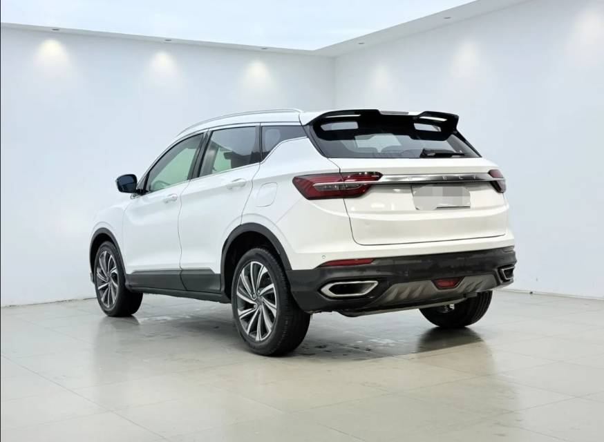 GEELY Coolray 2019 car image #10