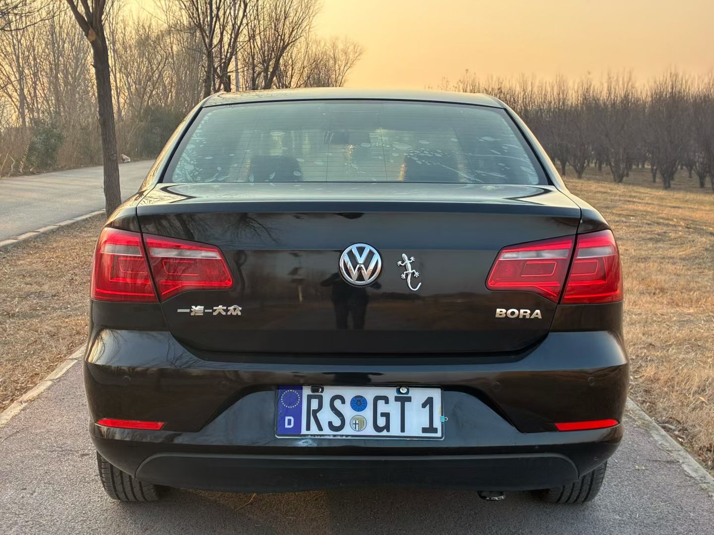 Volkswagen Bora 2013 car image #9