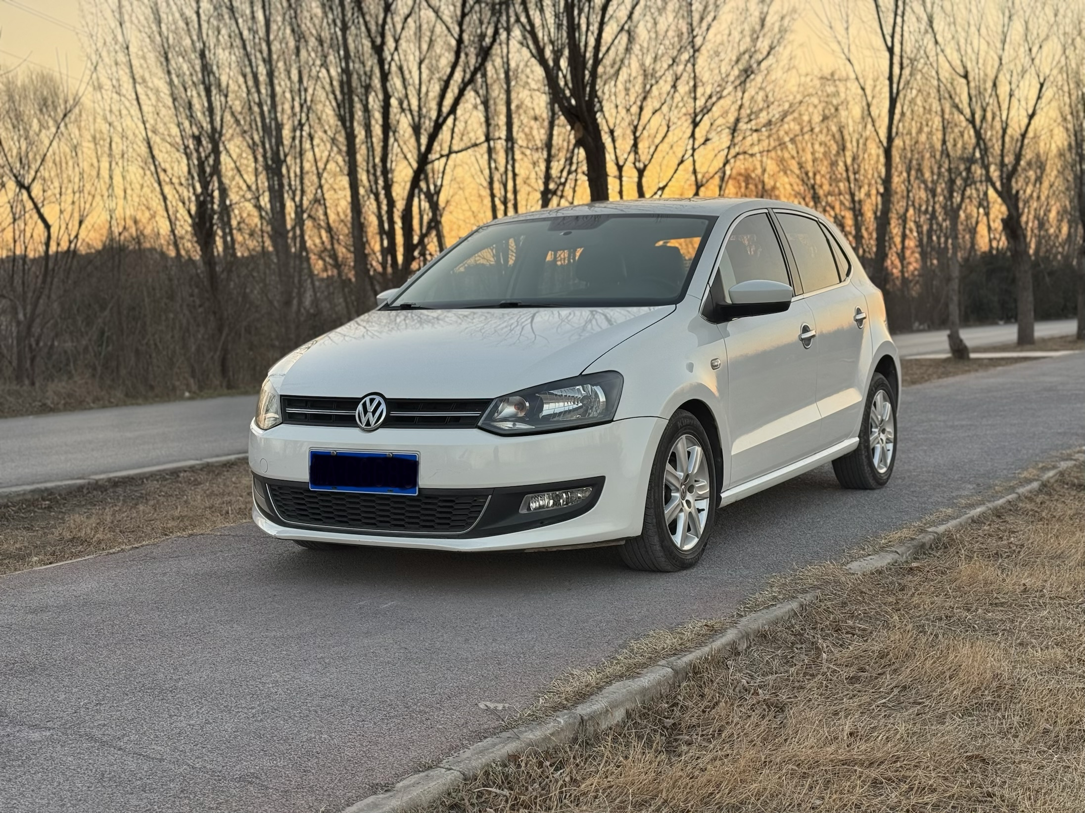 Volkswagen Polo 2011 car image 