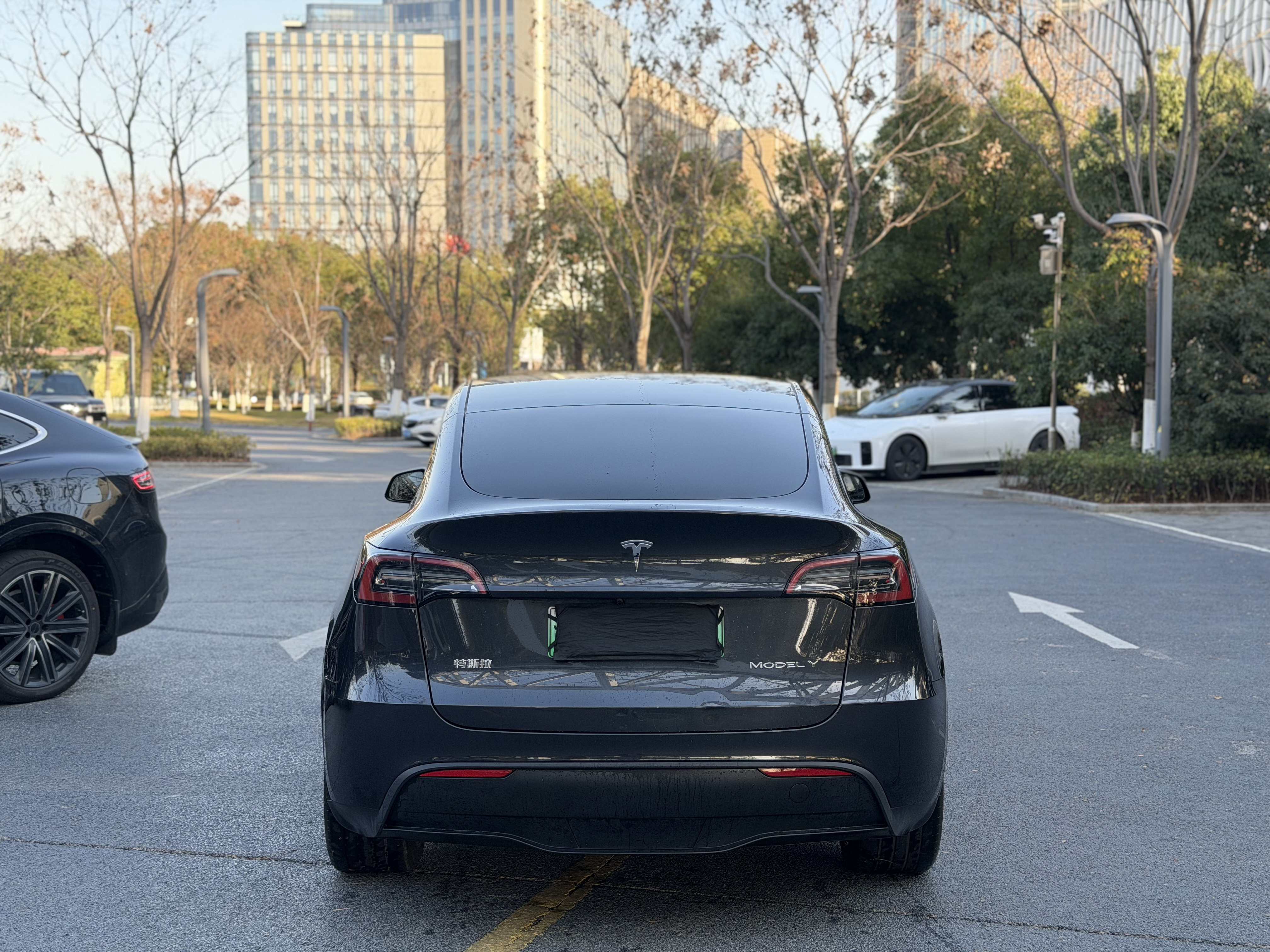 Tesla Model Y 2024 immagine di auto #9