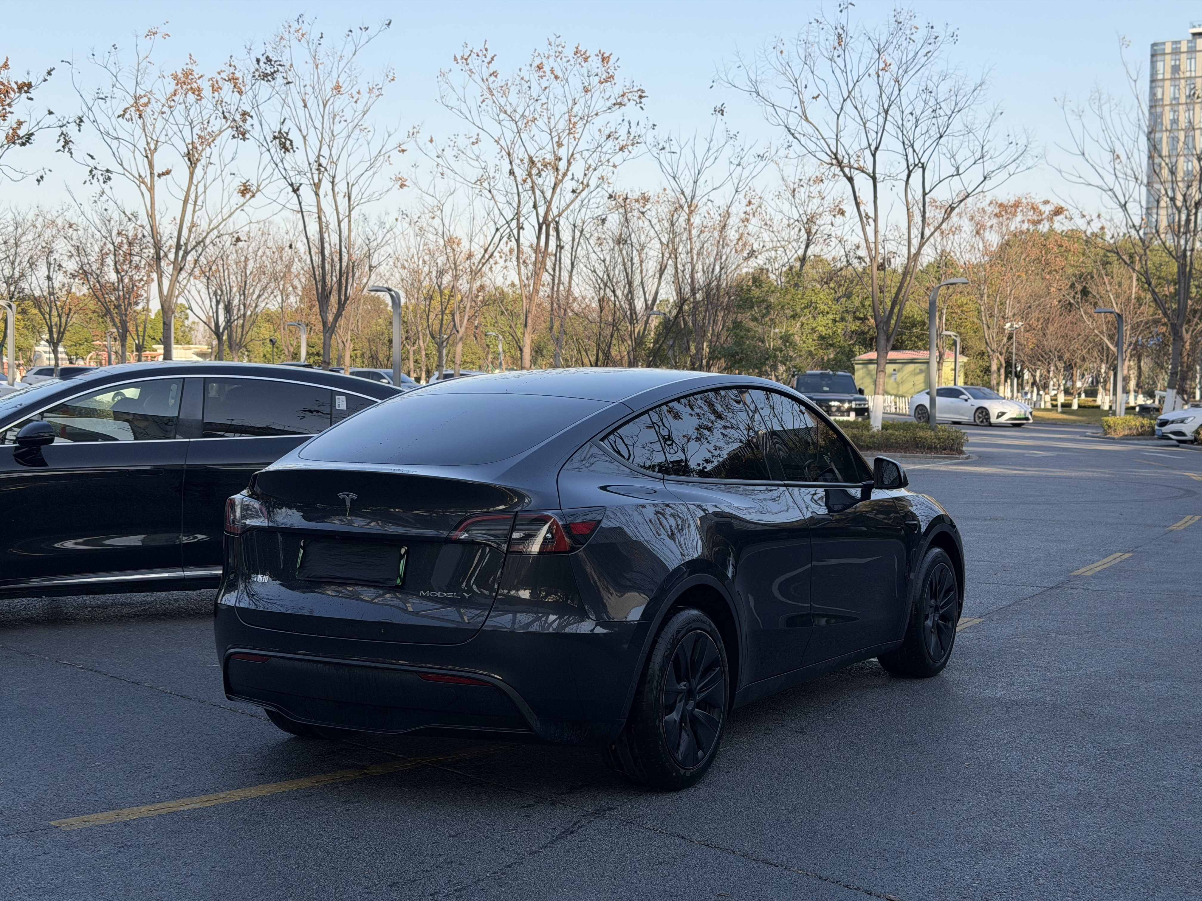 Tesla Model Y 2024 immagine di auto #8
