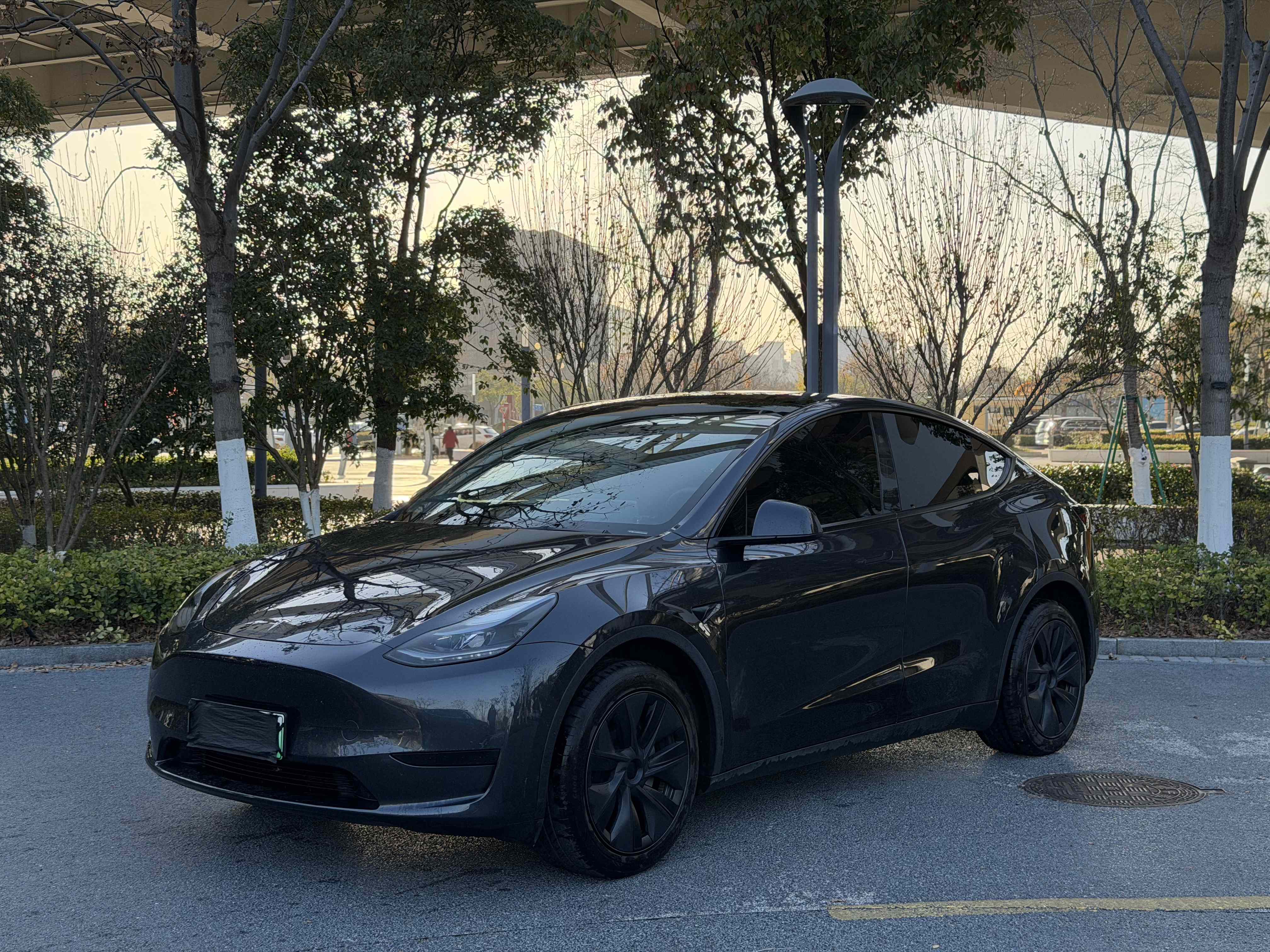 Tesla Model Y 2024 immagine di auto 
