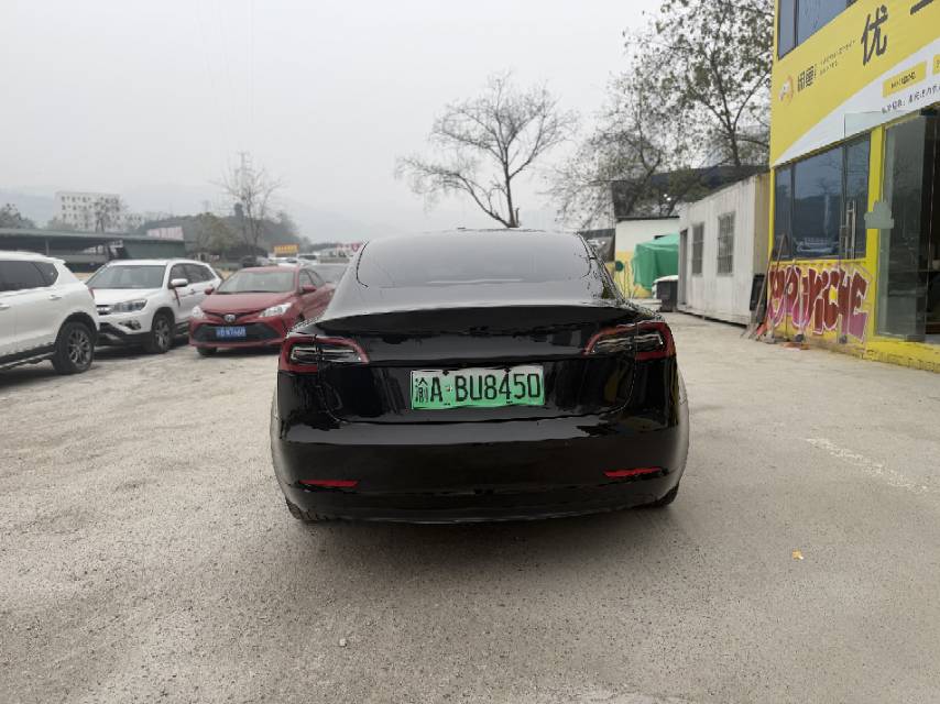 Tesla Model 3 2021 car image #11