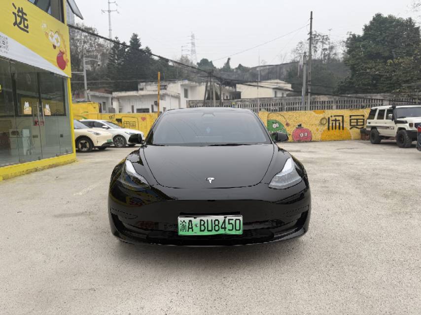 Tesla Model 3 2021 car image #4