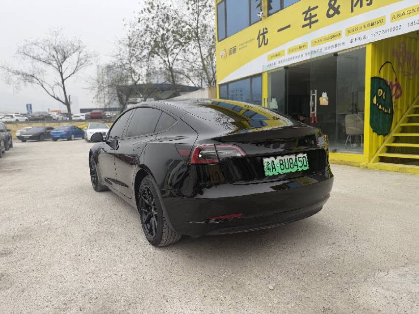 Tesla Model 3 2021 car image #10